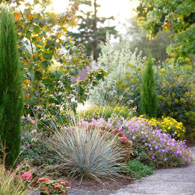 Turn your hellstrip into a specially designed “welcome home” garden. Sidewalk Landscaping, Garden Escape, Garden Sprinklers, Driveway Design, Driveway Landscaping, Garden Ideas Cheap, Video Garden, Sunset Magazine, Giada De Laurentiis