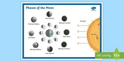 Our Moon phases poster is clear and illustrated to explain the different phases of the moon and their names.It helps children to see that the moon doesn’t change shape. It just reflects light differently as it orbits the Earth.It shows the direction of the sun, the movements of the moon around the Earth, and the angle the moon faces the Earth at in each phase.Each phase of the moon is labelled so children can get used to the cycle in order. Faces Of The Moon, Moon Phases Poster, Moon And Earth, New Moon Full Moon, Moon Faces, The Moon Phases, Old English Words, Sun And Earth, Interactive Whiteboard