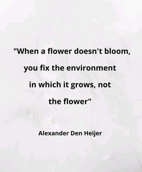 When A Flower Doesn't Bloom, Lion Drawing, Thought Provoking Quotes, Career Development, Meaningful Words, The Environment, Human Experience, Meaningful Quotes, A Flower