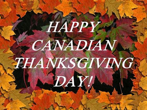 Canadian Thanksgiving Day Happy Canadian Thanksgiving, Happy Thanksgiving Canada, Seasons Name, Happy Columbus Day, Canadian Thanksgiving, Mottos To Live By, Thanksgiving Blessings, Canada Holiday, Thanksgiving 2020