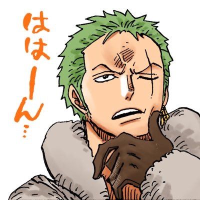 One Piece English, Zoro Roronoa, Zoro One Piece, Roronoa Zoro, One Piece Manga, Monkey D Luffy, One Piece Anime, Straw Hat, Anime Character