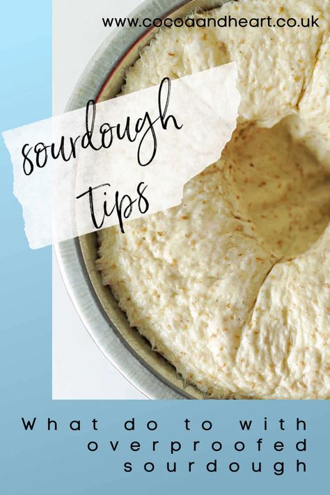 Regular Pancake Recipe, Crispbread Recipe, Drop Scones, Sourdough Bread Starter, Knead Bread Recipe, Homemade Sourdough Bread, Bread Starter, Sourdough Starter Recipe, Flatbread Recipes