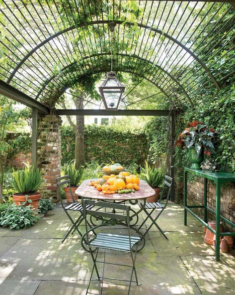 Iron Pergola, Pergola Diy, Metal Pergola, Pergola Design, Garden Vines, Outdoor Dining Room, Garden Wallpaper, Wooden Pergola, Backyard Pergola