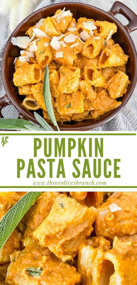 Pumpkin Puree Recipes Healthy, Easy Pumpkin Pasta, Creamy Pumpkin Pasta, Pumpkin Recipes Dinner, Pumpkin Pasta Sauce, Healthy Breakfast Bowl, Pumpkin Puree Recipes, Pumpkin Recipes Healthy, Savory Pumpkin Recipes