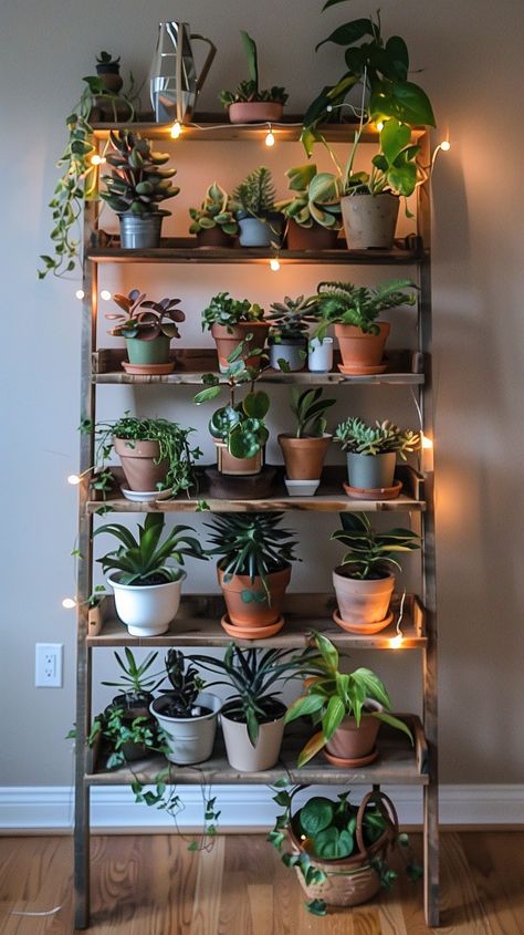 Displaying House Plants, Plant Display Indoor, Indoor Living Wall, Shelf Design Ideas, Wall Plants Indoor, Living Wall Indoor, Window Plant Shelf, Plants Stand, Wall Plants