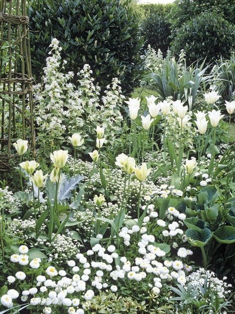 Exquisite Gardens, Cottage Garden Design, White Plants, Moon Garden, Backyard Inspiration, White Gardens, Gorgeous Gardens, Garden Cottage, Country Gardening