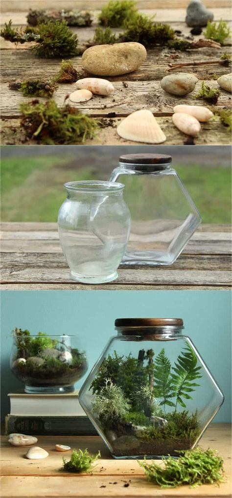 How to make a terrarium easily that stays healthy with no maintenance. Beautiful DIY terrarium ideas on best plants & care tips for open & closed terrariums. - A Piece of Rainbow #farmhouse #farmhousestyle #farmhousedecor #diy #homedecor #homedecorideas #diyhomedecor #terrarium #containergardening #craft #crafting #plants #indoorgardening #diy #summer #spring #winter #bohemian #bohemiandecor #bohochic #boho #terrariums Modern Terrarium, Bottle Terrarium, Open Terrariums, Terrarium Wedding, Terrarium Jar, Miniature Terrarium, Diy Terrarium, Hanging Terrarium, Mini Terrarium