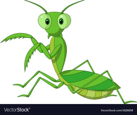 Cute Praying Mantis, Praying Mantis Life Cycle, Cute Monsters Drawings, Animal Life Cycles, Idee Cricut, Monster Drawing, Praying Mantis, Insect Art, Stock Art