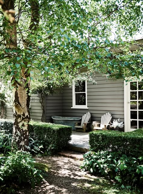 Landscape artist Jennifer Riddle shows us her cottage on Victoria’s Mornington Peninsula. Queensland Backyard Landscaping, Classic Cottage Exterior Paint Colors, Cottage Exterior Garden, Cottage Colours Exterior, Green Weatherboard House, Cottage Paint Exterior, External House Colours, Cottage Exterior Paint Colors, Small Queenslander Cottage