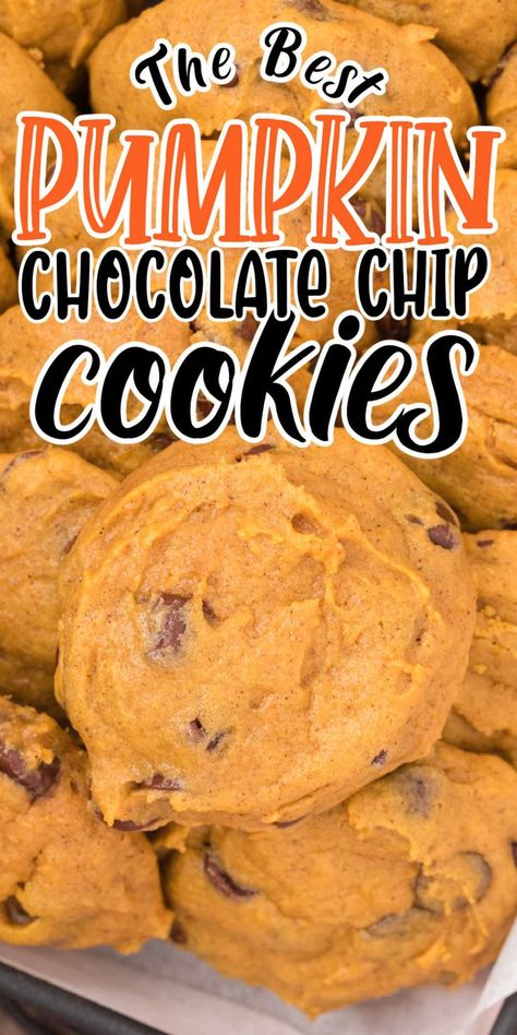 The Beset Pumpkin chocolate chip cookiee recipe you are going to find! They have a soft, moist texture with plenty of sweet dark chocolate chips mixed in. Dark Chocolate Pumpkin Cookies, Pumpkin Dark Chocolate Chip Cookies, Moist Pumpkin Chocolate Chip Cookies, Pumpkin Choc Chip Cookies, Pumpkin Chocolate Chip Cookies Easy, Pumpkin Chocolate Chip Cookies Recipe, Soft Pumpkin Chocolate Chip Cookies, Pumpkin Chip, Marble Chocolate