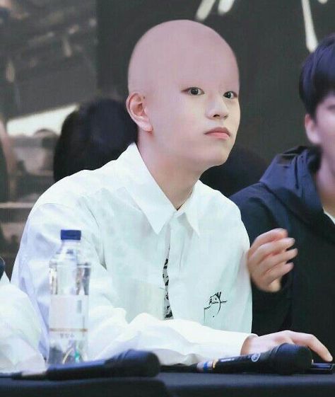 Bald Boy, Meme Book, Freddie Benson, Concert Signs, Jyp Nation, Kids Mood, Kpop Meme, Funny Kpop Memes, Pop Photos