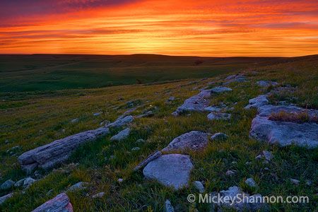 Flint Hills Wildlife Drive. Bazaar to Cassoday, Kansas. Tallgrass Prairie National Preserve, State Of Kansas, Flint Hills, Camping Inspiration, Country Scenes, Scenic Byway, Fine Art Photography Print, Photography Gallery, Photography Prints Art