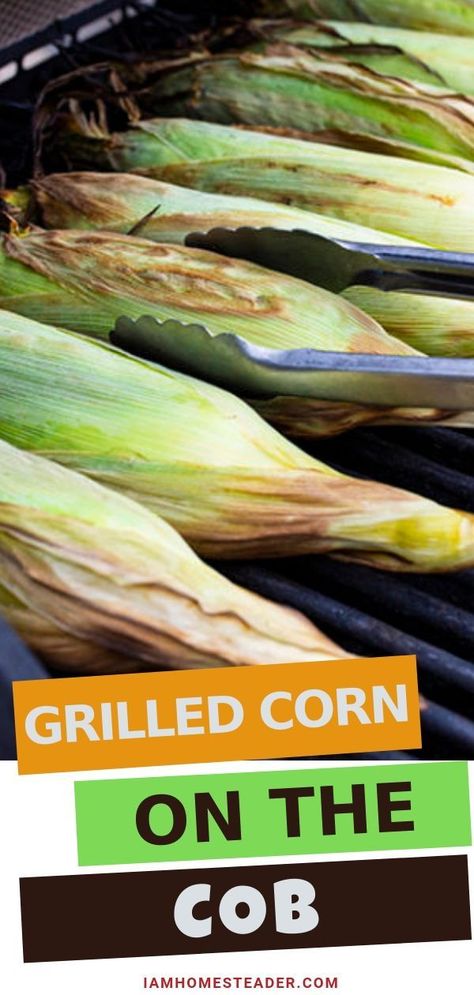 Grill Corn In Husk, Grilled Corn On Cob, Jalapeno Corn Dip, Grill Corn On The Cob, Grill Corn, Herbed Butter, Grilled Sweet Corn, Grilling Chicken, Grilled Corn On The Cob