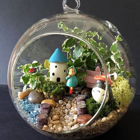 Totoro Terrarium, Terrarium Fairy Garden, Fairy Garden Art, Magical Fairy Garden, Fairy Terrarium, Fairy Garden Flowers, Indoor Fairy Gardens, Teacup Gardens, Fairy Garden Kit