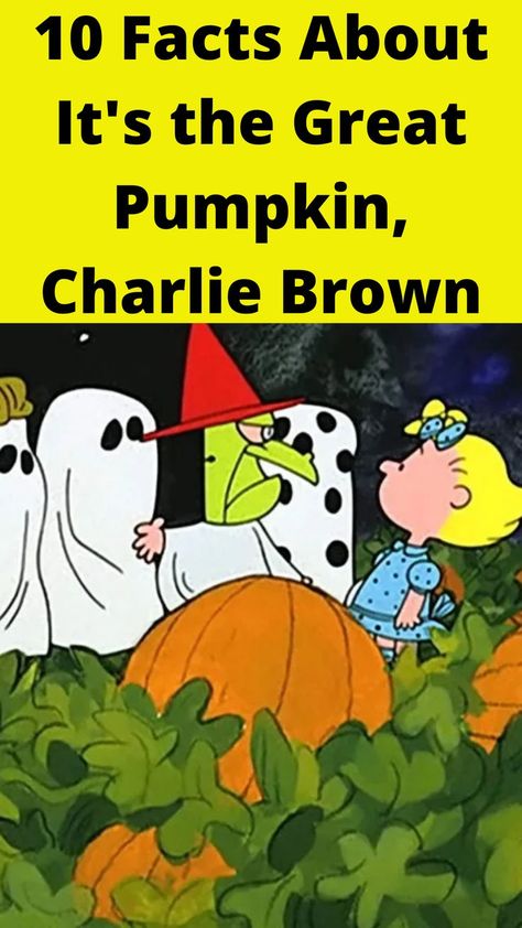 10 Facts About It's the Great Pumpkin, Charlie Brown It’s A Great Pumpkin Charlie Brown Trunk Or Treat, Charlie Brown Trunk Or Treat Ideas, Charlie Brown Halloween Party, Charlie Brown Music, Charlie Brown Great Pumpkin, Charlie Brown Football, Charlie Brown Pumpkin, Gang Activity, The Great Pumpkin Charlie Brown