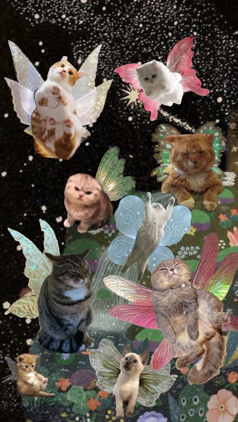 Cats with wings Cats With Wings, Wall Collage Decor, Artsy Background, Fairy Wallpaper, 17 Kpop, Phone Wallpaper Patterns, Art Wallpaper Iphone, Cute Patterns Wallpaper, Minimalist Wallpaper