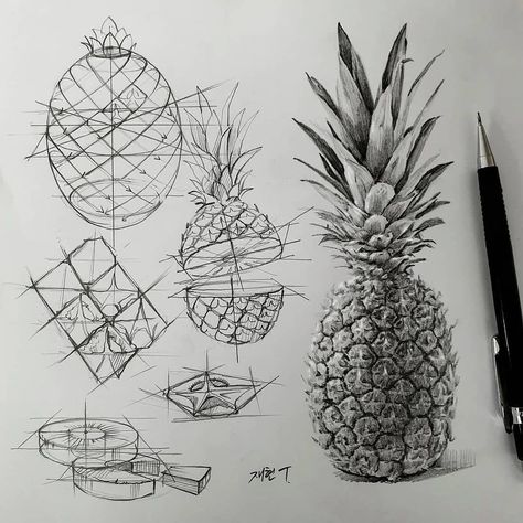 ART | WORLD of EXPRESSION 🎨 on Instagram: “It is easy to draw, if you understand the structure. Save the post and practice later 💌💯 Work by @anjjaemi _____________________ ▪ ⚠We…” Pineapple Sketch, Pineapple Drawing, Fruit Sketch, Structural Drawing, Fruits Drawing, Easy To Draw, Perspective Art, Draw Art, Art Drawings Sketches Creative