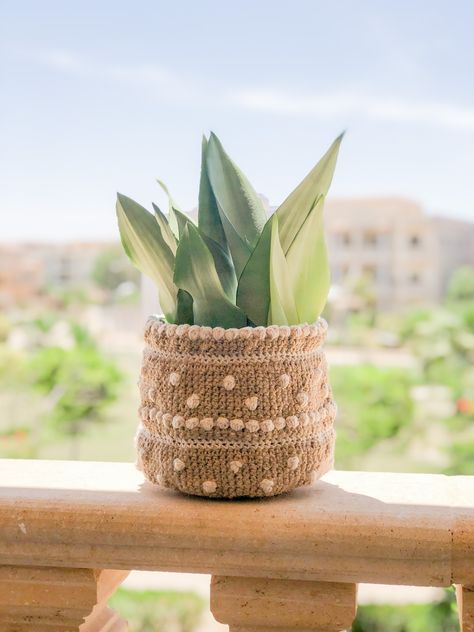 Bubbly Pot - Crochet Plant Pot Cover- Free Pattern – Topknotch Crochet Planter Cover, Plant Organization, Plants Crochet, Crochet Plant Pot, Crochet Planter, Pot Crochet, Fruit Hammock, Planter Cover, Crochet Plant Hanger