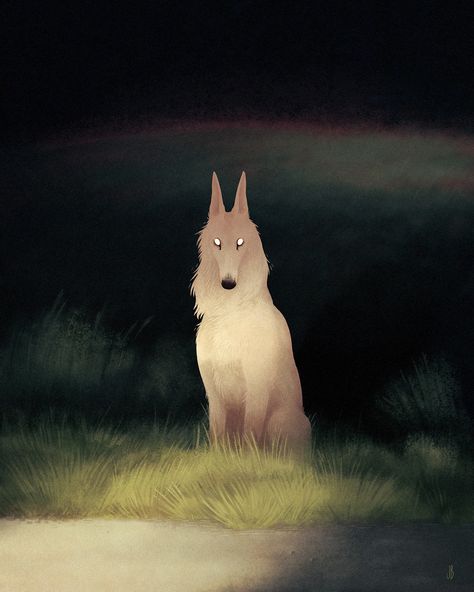 The Art Of Animation — Jenna Barton  -  http://dappermouth.tumblr.com  - ... White Wolf, At Night, The Sky, Forest, Rainbow, Green, White, Art