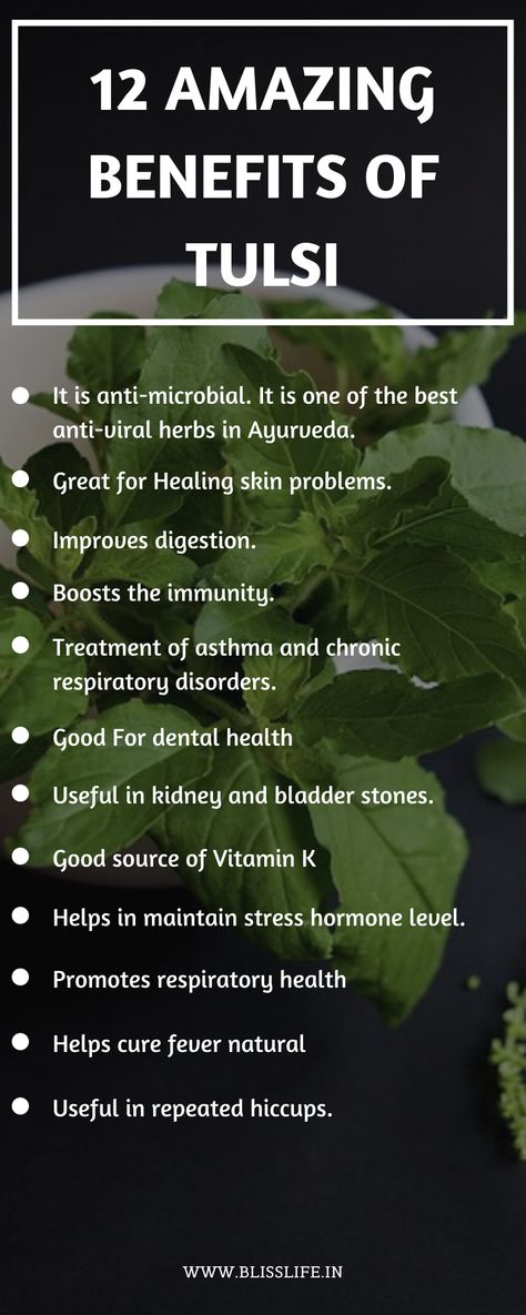 Tulsi Herb Benefits, Tulsi Benefits Health, Tulsi Benefits, Tulsi Basil, Ayurvedic Plants, Tulsi Plant, Vitamin A Foods, Nutrition Science, Food Medicine