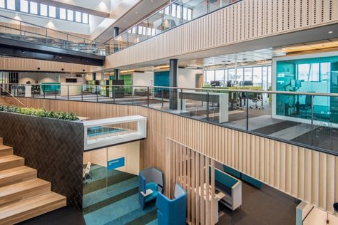 Trustpower offices by Veldhoen + Company and Warren & Mahoney, Tauranga – New Zealand » Retail Design Blog Working Office Design, Work Office Design, Tauranga New Zealand, Working Office, Stair Design, Cool Office Space, Wood Walls, Office Photo, Tile Inspiration