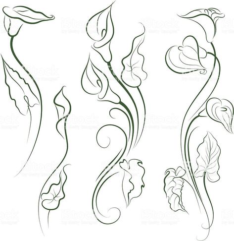 250+ Lily Tattoo Designs With Meanings (2022) Flower ideas & Symbols Lily Tattoo Meaning, Tiger Lily Tattoos, Water Lily Tattoos, Henne Tattoo, Lillies Tattoo, Lily Tattoo Design, Lilies Drawing, Lily Flower Tattoos, Petit Tattoo