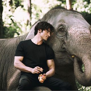 Vidyut Jamwal Body, Vidyut Jamwal, World Elephant Day, Unlikely Friends, Abs Workout Video, Mens Photoshoot Poses, Dragon Ball Art Goku, Martial Artists, Male Poses