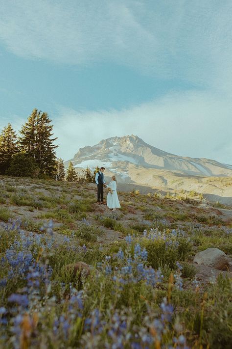 Summer Elopement at Mount Hood — Andie Avery Photography: Oregon Wedding & Elopement Photographer Oregon Elopement Photography, Portland Oregon Elopement, Mt Hood Elopement, Elopement Ideas Colorado, Mt Hood Wedding, Montana Elopement Ideas, Oregon Elopement Locations, Mountain Wedding Photography, Elopement Picture Ideas