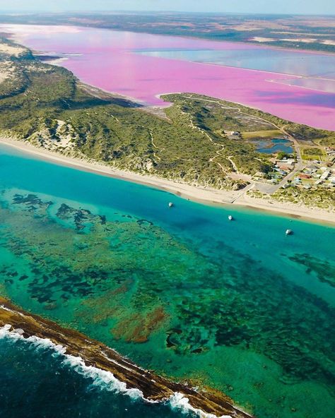 IG/matt.odonoghue.images captured Hutt Lagoon looking vibrant. Located between the Australia's Coral Coast towns of Geraldton and Kalbarri, Hutt Lagoon can be easily accessed via George Grey Drive or if you’re up for a road trip, it’s a six-hour drive north of Perth.   The lake changes colour from red to pink and even to lilac purple, so we recommend visiting in the morning or at sunset to catch the best of its colourful spectrum. Hutt Lagoon, Rv Holiday, Splash Of Colour, Lilac Purple, Romantic Getaways, Holiday Destinations, Beach Fun, Ocean Beach, Amazing Destinations