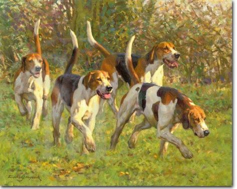 The Duke of Beaufort’s Hound Hunting Photography, English Foxhound, Treeing Walker Coonhound, Hunting Art, Canine Art, The Fox And The Hound, Hound Dog, Dog Paintings, Hunting Dogs