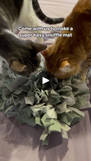 Cat Condos, Spoiled Pets, Cat Tips, Snuffle Mat, Cat Fun, Cat House Diy, Cat Hacks, Pet Advice, Cat Condo