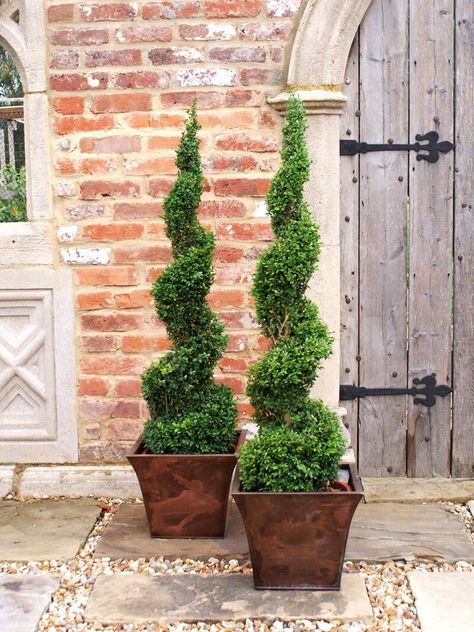 Topiary decor