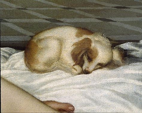 1st image of the papillon dog (detail of the 'venus de urbino' of Titian) Olympia Painting, Venus Of Urbino, Papillon Dogs, Paintings Animals, Venetian Art, Papillon Dog, Francisco Goya, Edouard Manet, Canine Art