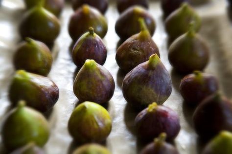 Preserving Figs, Fig Recipes Fresh, Fig Ideas, Pickles Recipes, Canning Jams, Fig Preserves, Preserving Foods, Dehydrated Foods, Fig Trees