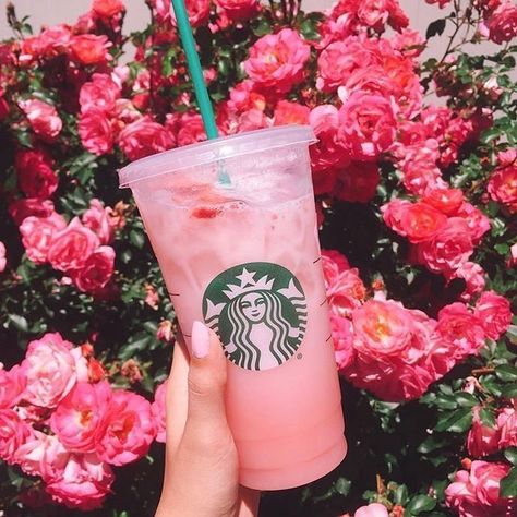 Starbucks Drink, Pink Drink, Pink Starbucks, We Heart It, Flowers, Green, Pink