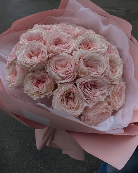 Baby Pink Bouquet, Pink Garden Rose, Boquette Flowers, Rose Arrangements, Garden Rose, Pink Garden, Flower Therapy, Pink Bouquet, Spring Aesthetic