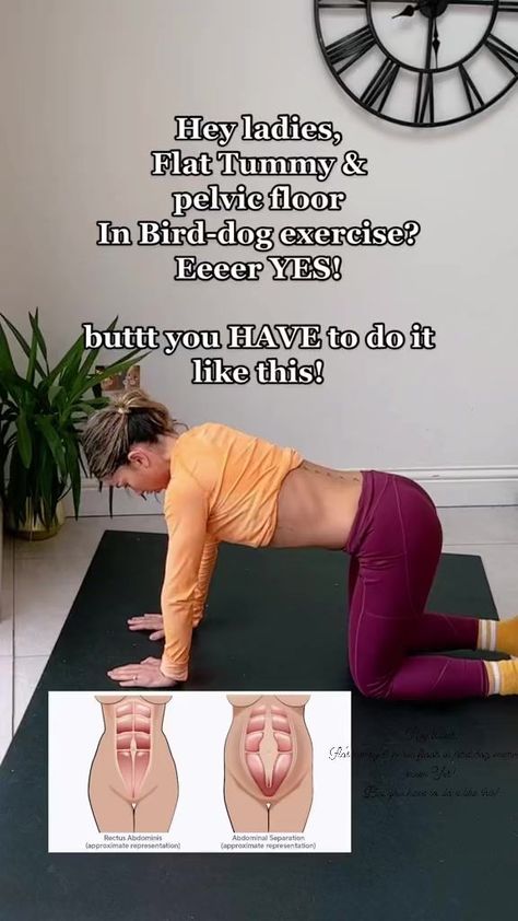 Birddog Exercise, Bird Dog Exercise, Creative Exercises, Coi Leray, Super Woman, My Core, Creativity Exercises, Thigh Exercises, Flat Tummy