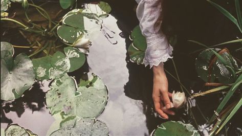 The Secret Garden 1993, The Secret Garden, About Time Movie, Aesthetic Gif, Film Stills, Secret Garden, Mbti, Diy Garden, Succulent