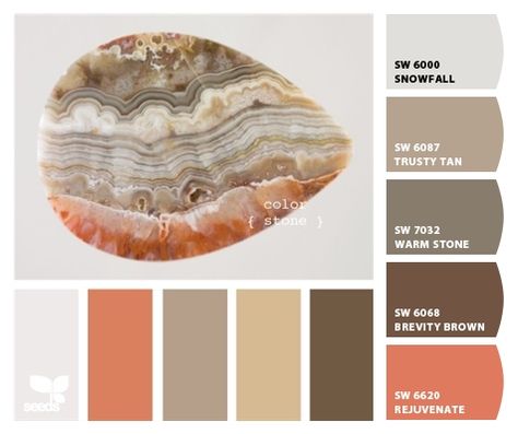 Paint colors from ColorSnap by Sherwin-Williams Cream Furniture, Palette Design, Trendy Living Rooms, Color Palate, Theme Color, Design Seeds, Paint Schemes, Living Room Paint, Room Paint