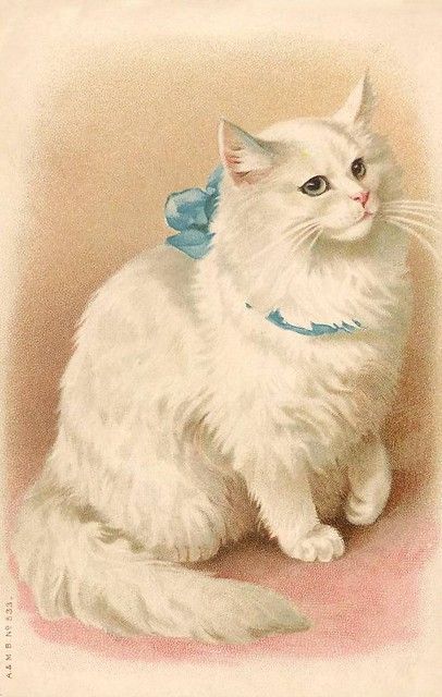 Kittens Vintage, Image Chat, Kitten Pictures, Images Vintage, Cat Cards, White Cats, Cats Illustration, Persian Cat, Cat Painting