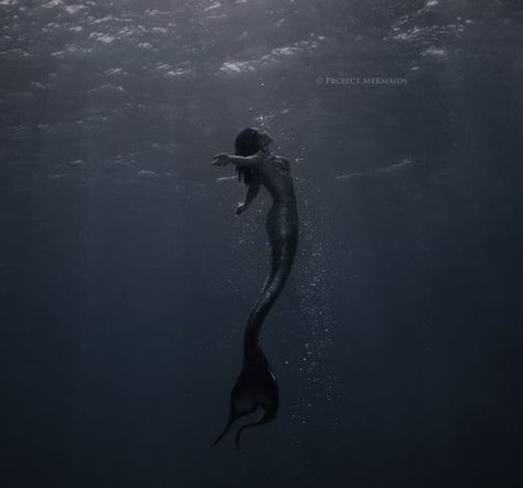 Siren Creature, Evil Mermaids, Siren Core, No Ordinary Girl, Dark Mermaid, Arte Occulta, Mermaid Photography, Sea Siren, Siren Mermaid