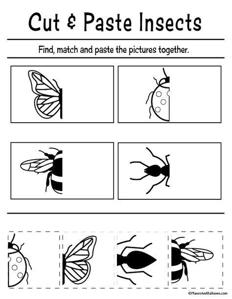 Insect Worksheet, تصنيف الحيوانات, Scissor Skills Preschool, Preschool Worksheets Free Printables, Pre K Worksheets, Insects Preschool, Bugs Preschool, Cut And Paste Worksheets, Free Preschool Printables