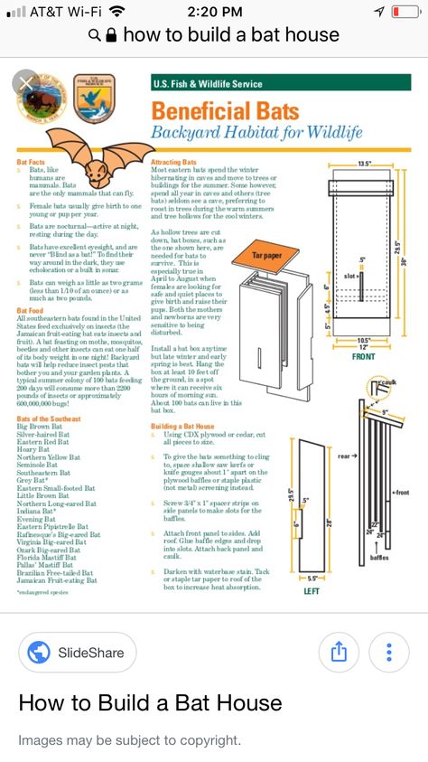 Bat House Diy, Toad Abode, Build A Bat House, Backyard Diys, Bat House Plans, Ww Ideas, Bat Facts, Bat Box, Eagle Project