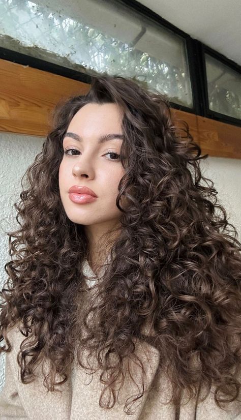 3a Hair, Brown Curly Hair, Curly Hair Tutorial, Colored Curly Hair, Black Curly Hair, Curly Hair Inspiration, Curly Hair Cuts, Hair Inspo Color, Hair Photo