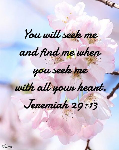 Early in the morning when I rise I will seek you Lord❤️ Seek God With All Your Heart, Early In The Morning Will I Seek You, Seek The Lord With All Your Heart, Jeremiah 29 13, Seek God, Journal Therapy, Prayer Closet, Body Of Christ, Seek Me