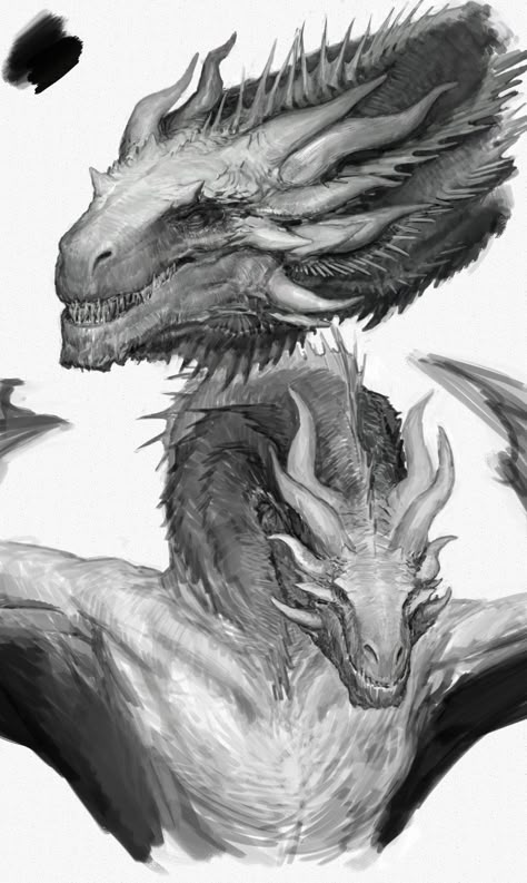 Balerion The Black Dread, Dragon Anatomy, Game Of Thrones Dragons, Got Dragons, Dragon Artwork Fantasy, Targaryen Art, Dragon Sketch, Gra O Tron, Game Of Thrones Art