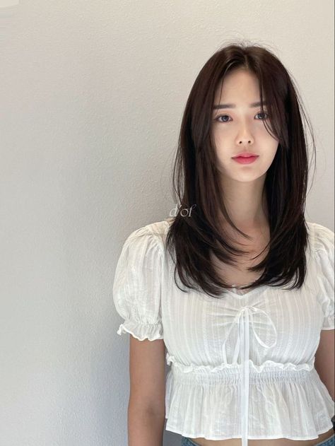 Simple Layer Haircut, Simple Layers For Medium Hair, Asian Haircut Straight Hair, Brown Layered Hair Medium, Long Bangs Straight Hair, No Layers Haircut, Medium Length Haircut Asian, Korean Mid Length Hair, Pakistani Hairstyles