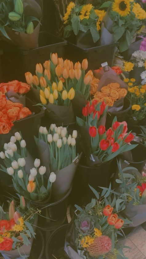 Orange Tulips Aesthetic Wallpaper, Orange Tulips Aesthetic, Tulips Aesthetic, E Flowers, Orange Tulips, Flower Therapy, White Tulips, Aesthetic Desktop Wallpaper, Aesthetic Pastel Wallpaper