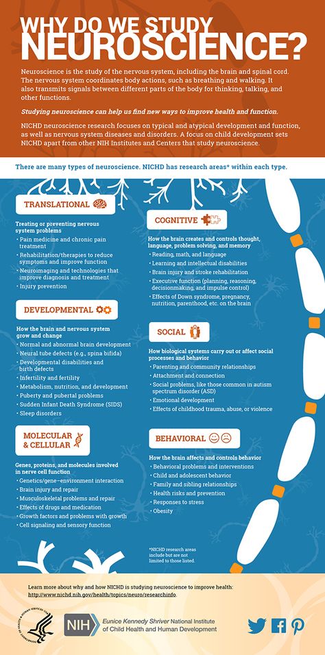 Nervous System Infographic, Neuroscience Research, Neuroscience Student, Learning Psychology, Behavioral Neuroscience, Research Poster, Body Action, Child Health, Medical Student Study