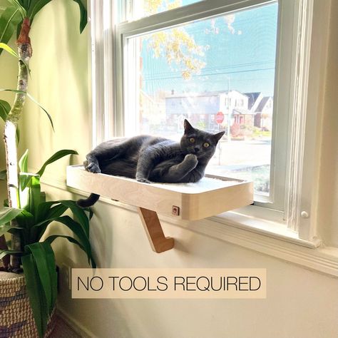 01 Cat Window Perch Cat Window Shelf Cat Window Seat - Etsy Pets Stuff, Window Shelf, Cat Window Perch, Window Perch, Modern Cat Furniture, Window Shelves, House Plant Pots, Cat Window, Cat Perch